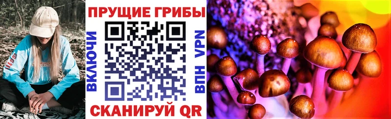 Галлюциногенные грибы Magic Shrooms  Купить закладки  Пермь 